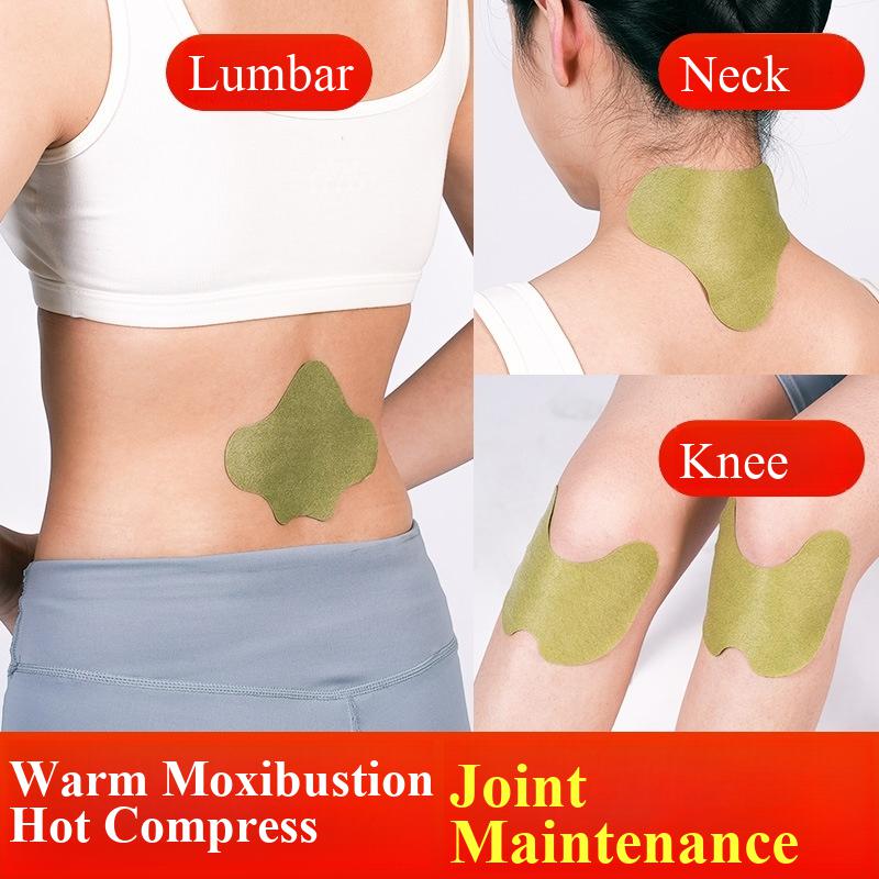 Yoga Health & Fitness Center - 100pcs Wormwood Lumbar Patches Neck, Shoulder