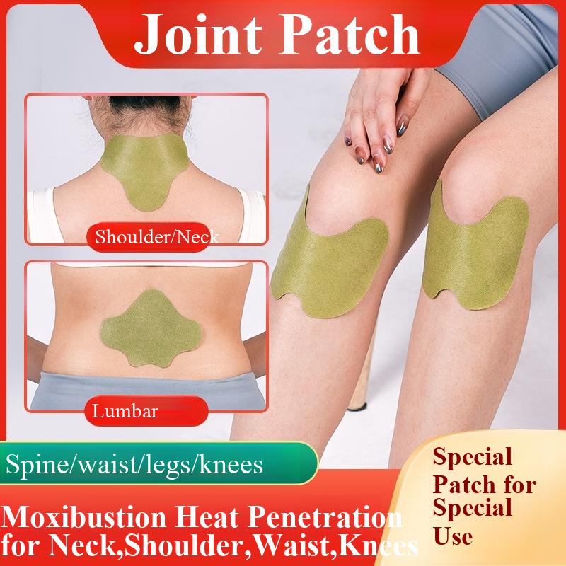 100pcs Wormwood Lumbar Patches - Yoga Health & Fitness Center recension och pris