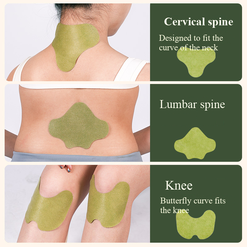 100pcs Wormwood Lumbar Patches - Yoga Health & Fitness Center recension och pris