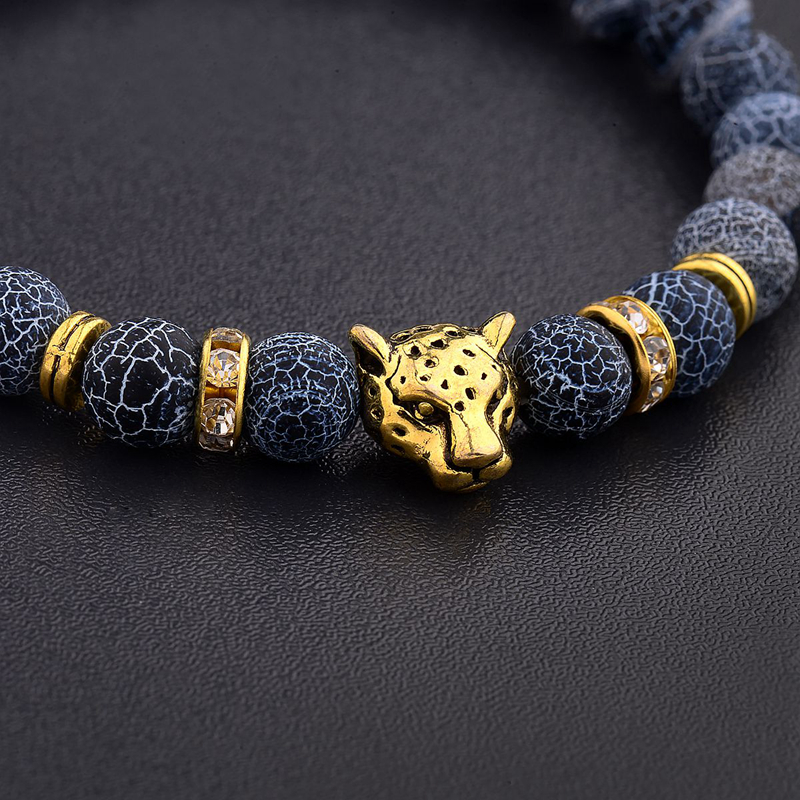 Vintage Charm Alloy Leopard He - Yoga Health & Fitness Center recension och pris